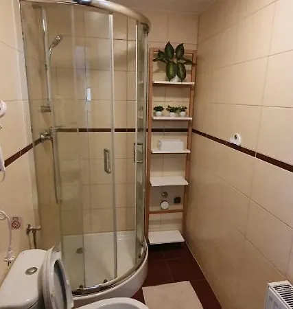 Przy Czarnej Bramie דירה