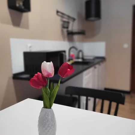 Przy Czarnej Bramie * Kladsko