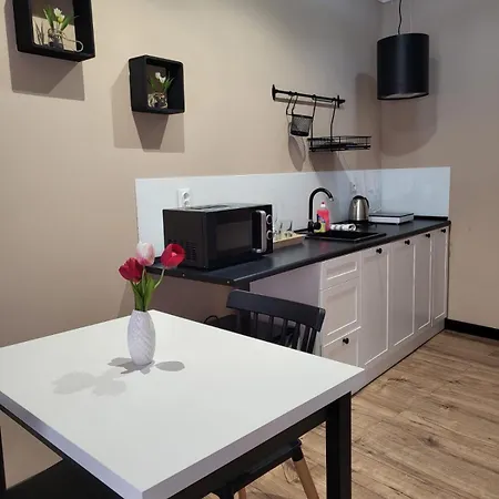 Apartment Przy Czarnej Bramie Klodzko