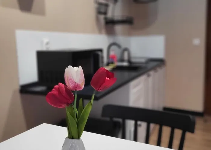 Przy Czarnej Bramie * Kladsko